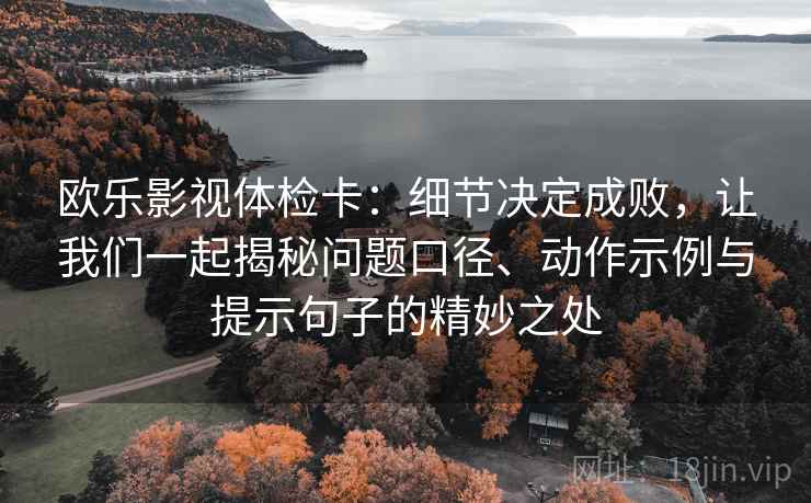 欧乐影视体检卡：细节决定成败，让我们一起揭秘问题口径、动作示例与提示句子的精妙之处