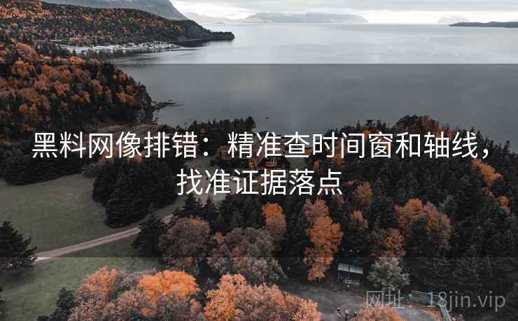 黑料网像排错：精准查时间窗和轴线，找准证据落点