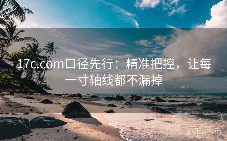 17c.com口径先行：精准把控，让每一寸轴线都不漏掉