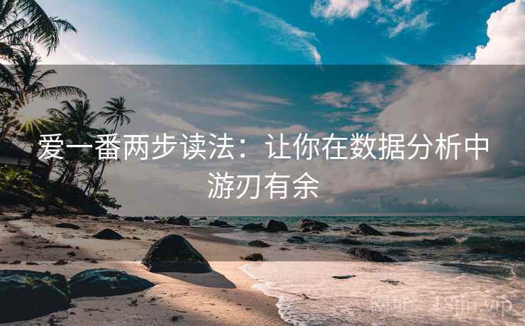爱一番两步读法：让你在数据分析中游刃有余