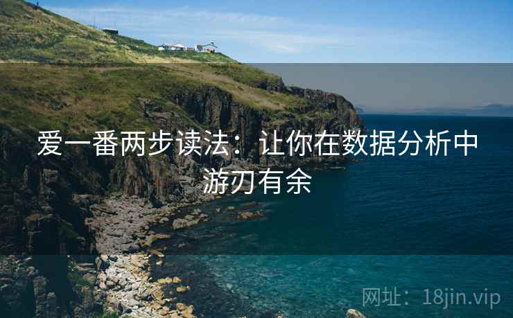 爱一番两步读法：让你在数据分析中游刃有余